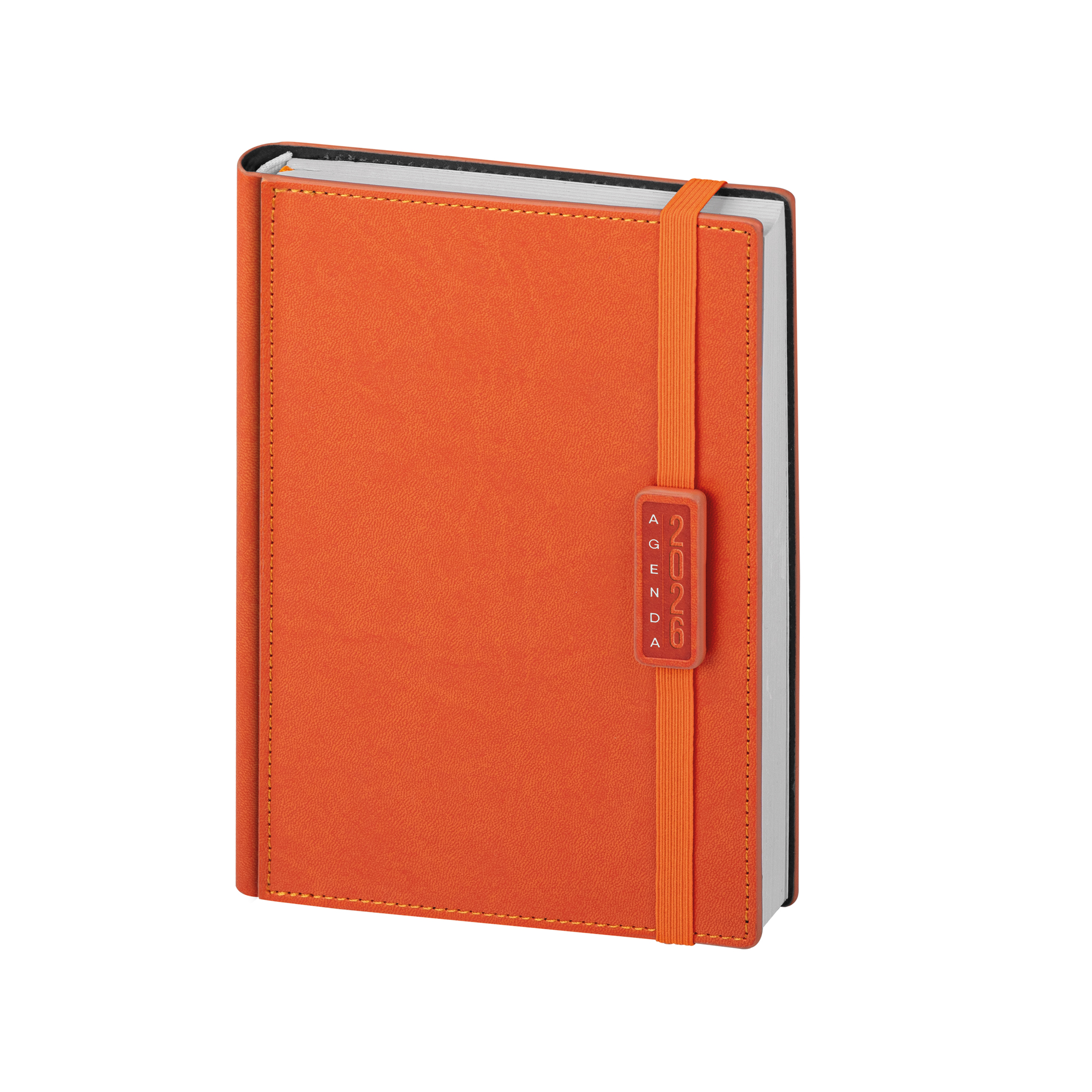 Esempio di agenda giornaliera con copertina arancione