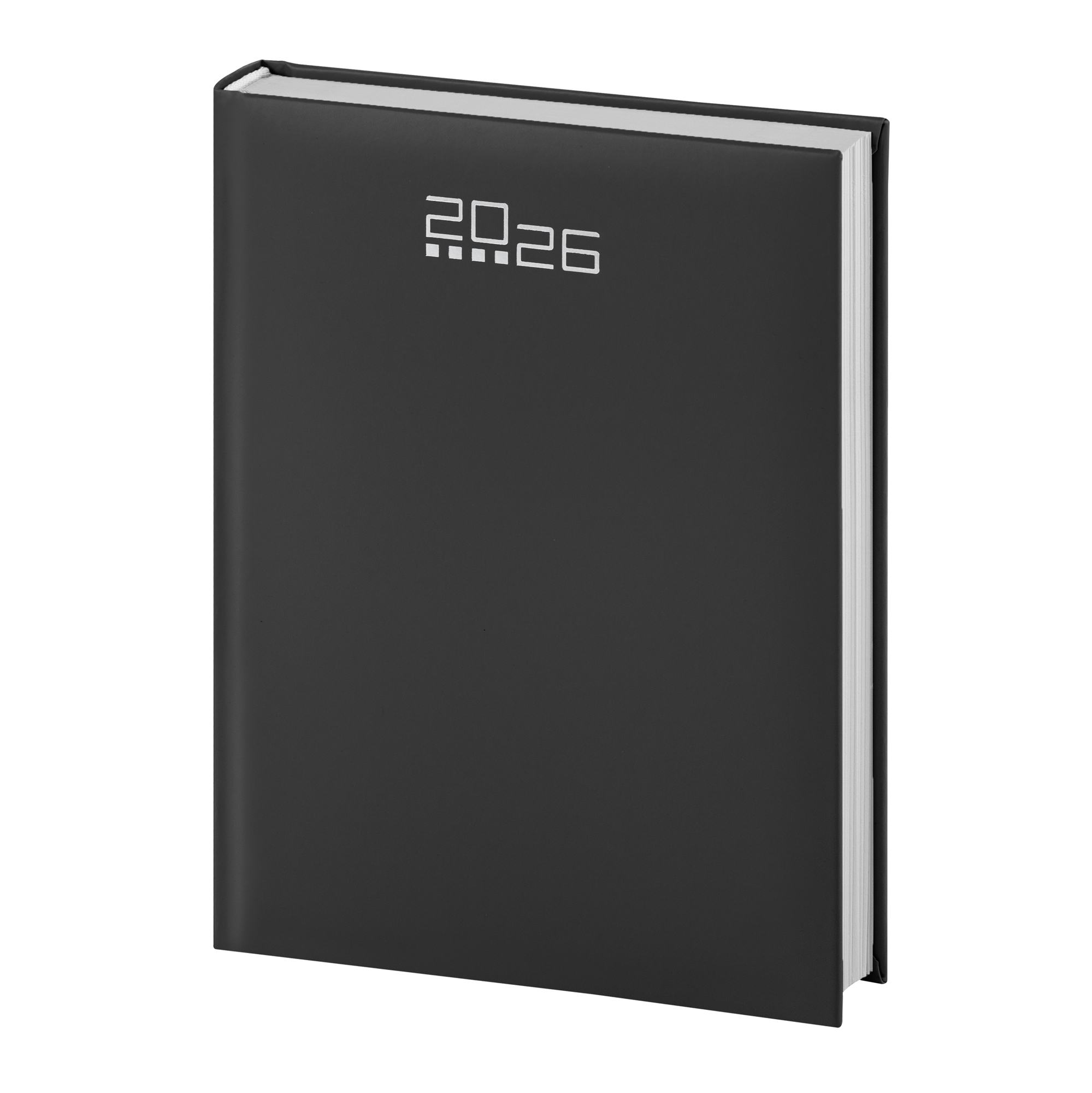 Agenda 17x24 - Dettaglio 1