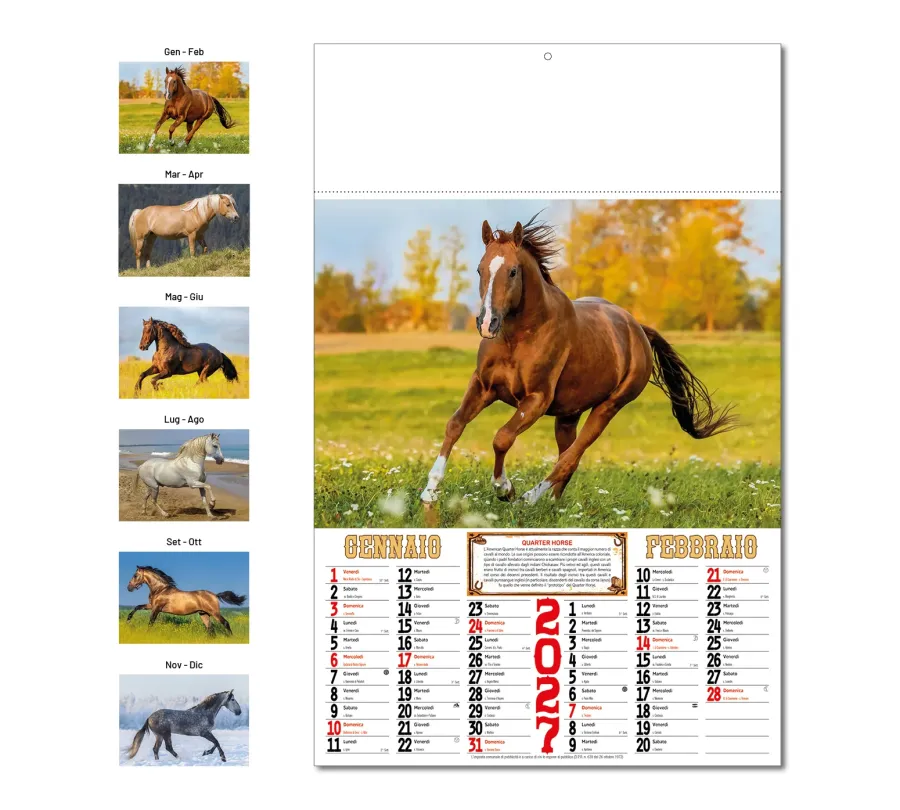 Calendario Cavalli