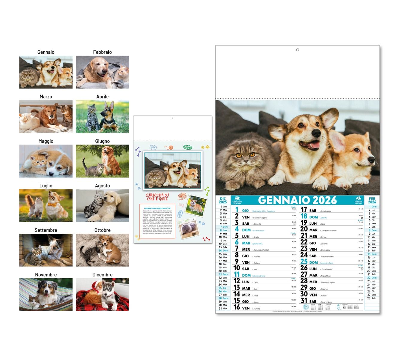 Calendario Cani e Gatti - Vista Principale