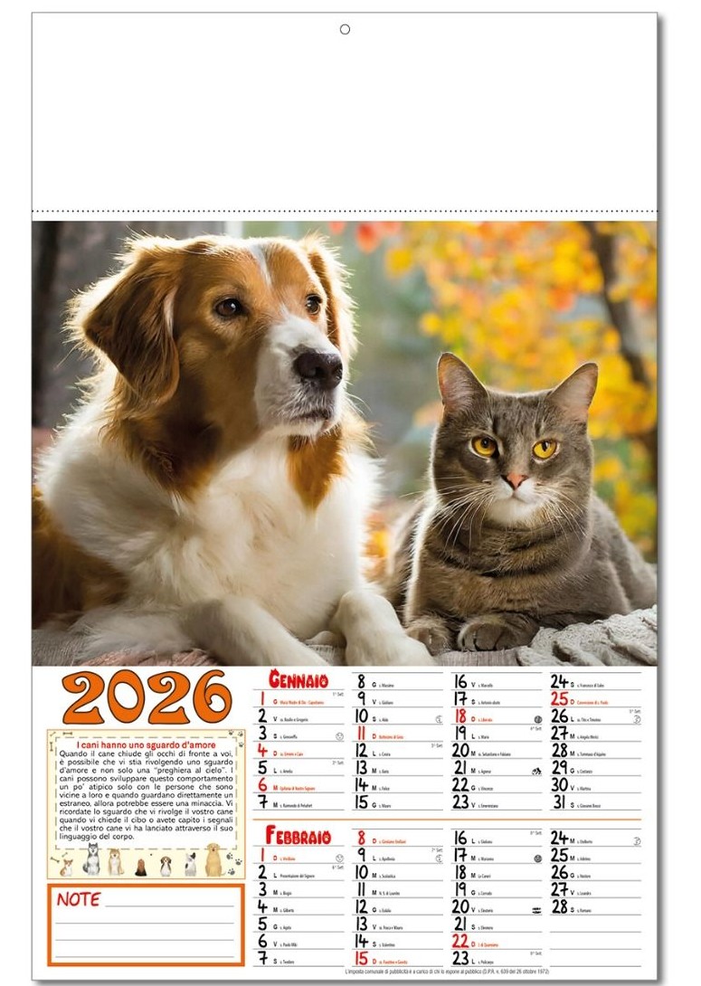 Calendario Cani & Gatti - Vista Principale