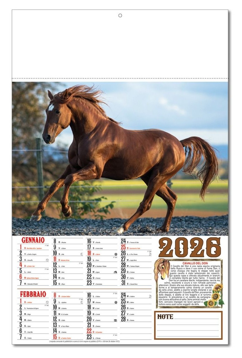 Calendario Cavalli - Vista Principale