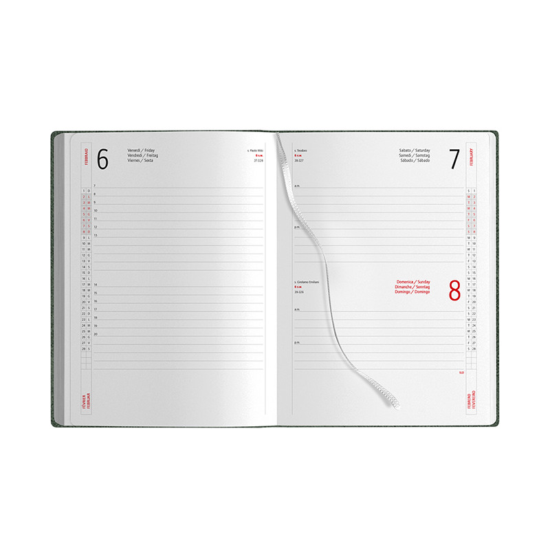 Agenda Giornaliera - Dettaglio 1